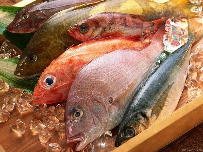 A Guide to Buying Frozen Fish and Seafood Online